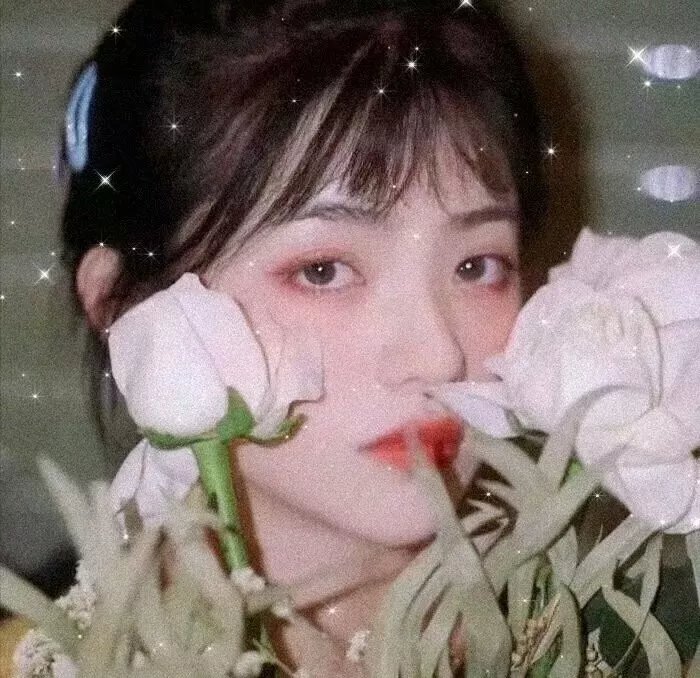 完美妻子的完美复仇计划